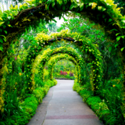 Botanical Gardens in LA