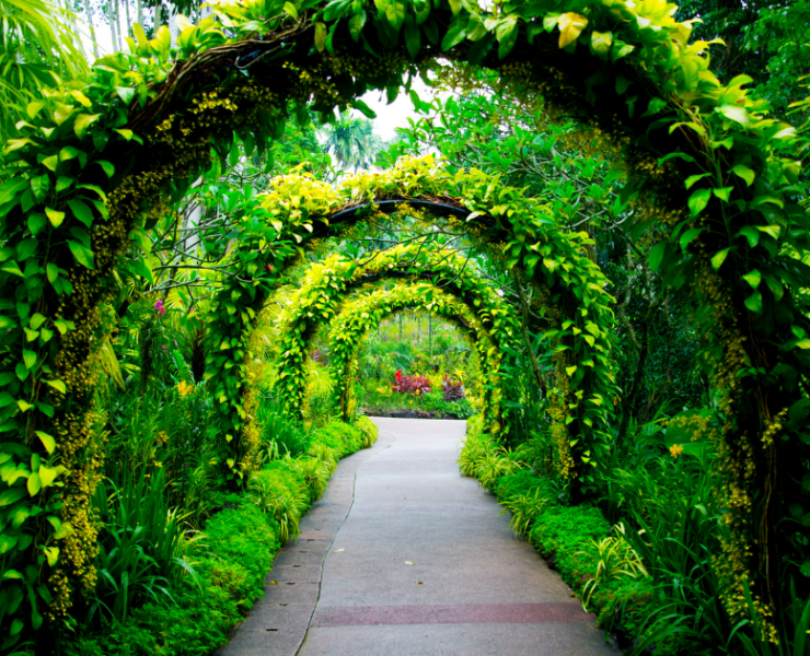 Botanical Gardens in LA