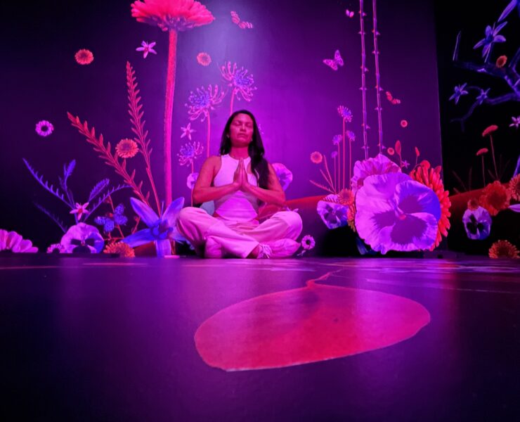 Flutter an Immersive Experience in Los Angeles