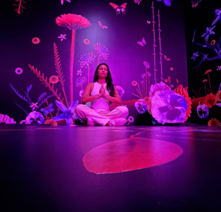 Flutter an Immersive Experience in Los Angeles