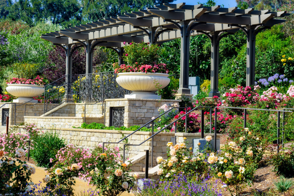 5 Best Botanical Gardens in Los Angeles: A Guide to Nature's Tranquil ...