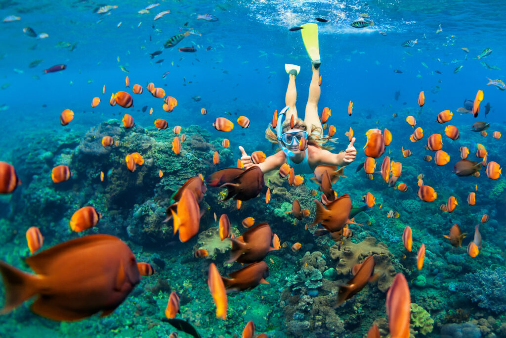 Snorkeling in Los Angeles