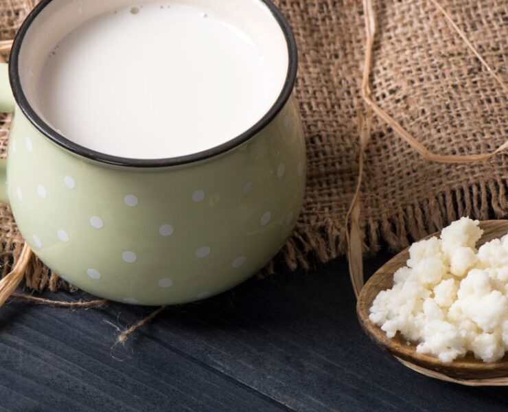 Kefir Grains