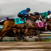 LIVE RACING AT SANTA ANITA PARK