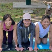 Goat Yoga in the Park
