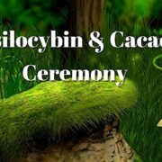 MUSHROOM AND CACAO CEREMONY