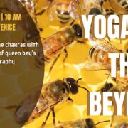 Yoga for the Beyhive Queen Bey Chakra Flow