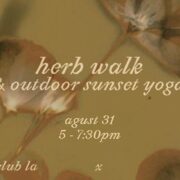 Sunset Yoga + Herb Walk