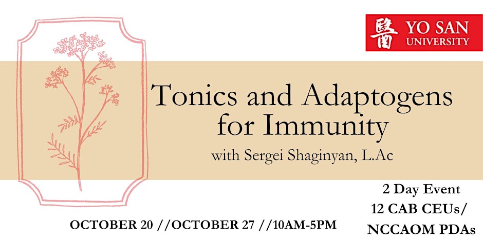 Adaptogens, Tonics and Immunity