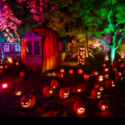 Magic of the Jack-o’-Lanterns