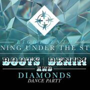 18th Annual Evening Under the Stars