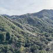 At-Home Deepening Your Earth-Body Connection