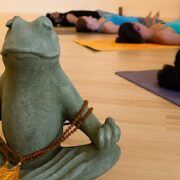 Beginners Yoga - Santa Monica | Brentwood| West LA