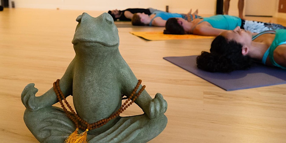 Beginners Yoga - Santa Monica | Brentwood| West LA