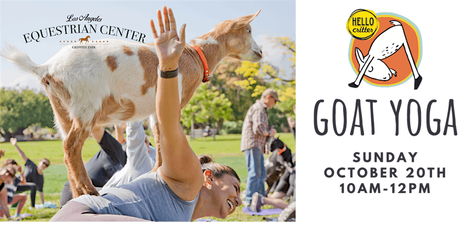 Goat Yoga at the Los Angeles Equestrian Center