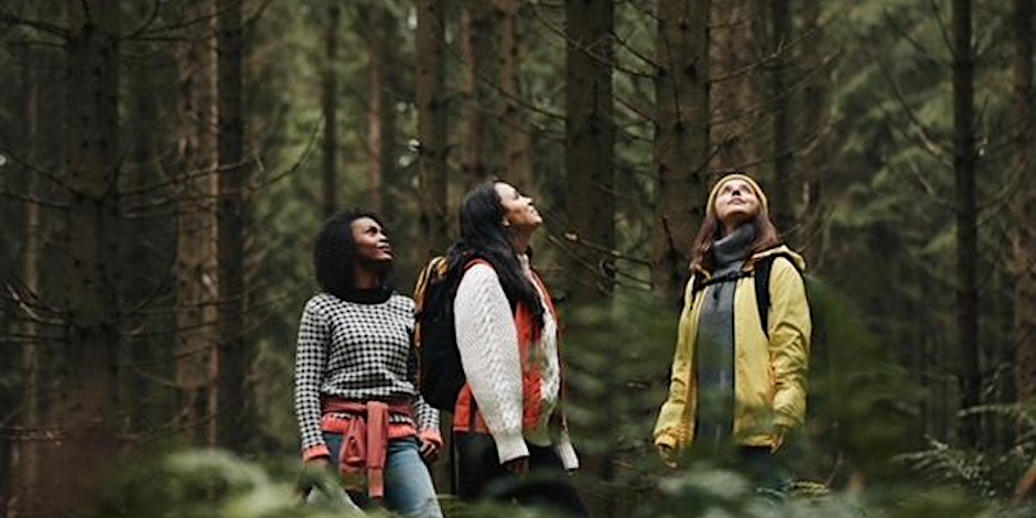 Group Forest Bathing Walk