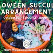 Halloween Succulent Arrangement Workshop