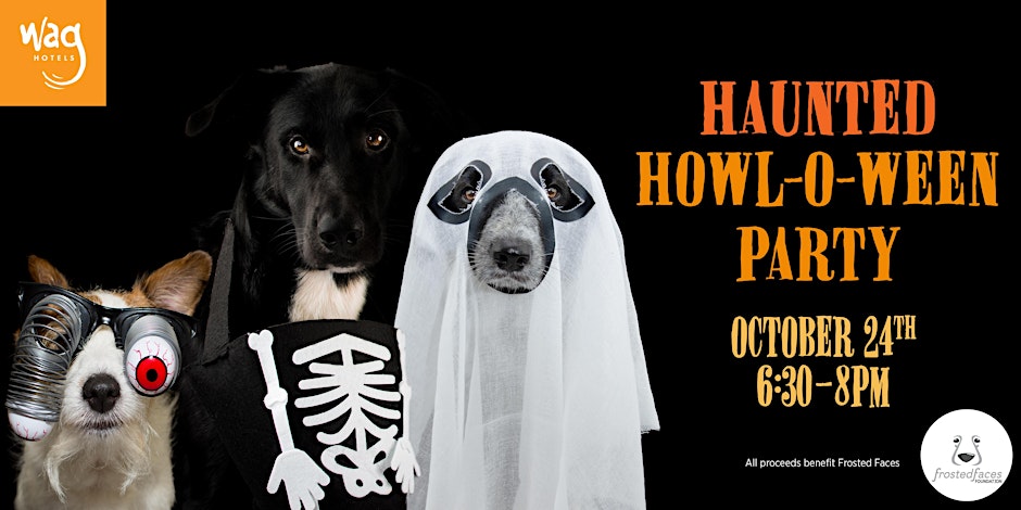 Haunted Howl-o-ween Party for Dogs at Wag Hotels Hollywood