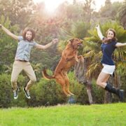 Join Us for a Fun Dog Training Hike in LA!