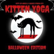 Kitten Yoga Halloween Edition!