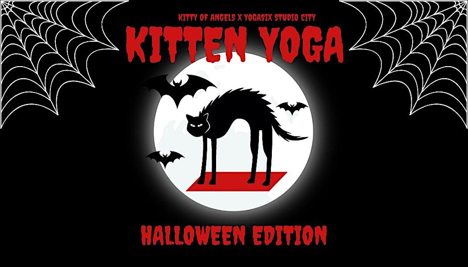 Kitten Yoga: Halloween Edition!