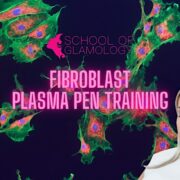 Los Angeles,Fibroblast,Plasma,Mole Removal Certification|SchoolofGlamology