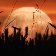 October Full Moon Meditation & Sound Bath