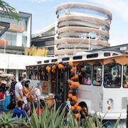 The Candy Coach Experience