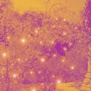 Wine Tasting Garden Ramble