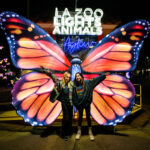 LA Zoo Lights