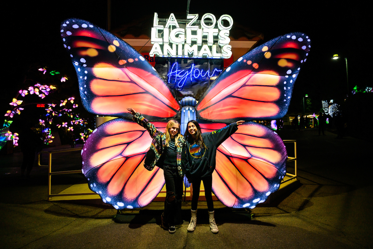 LA Zoo Lights